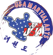 Team USA Martial Arts Logo